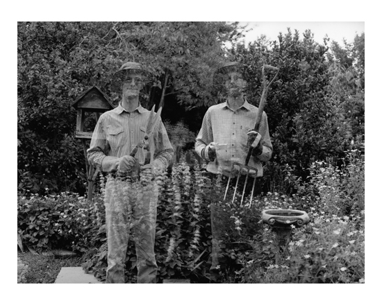 A Pause In The Days Labour